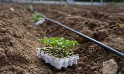 Bornova’da umut toprakla büyüyor