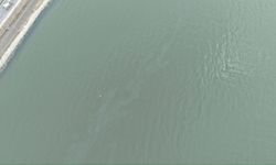 İzmir Körfezi ‘İmdat’ diyor