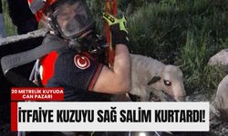 20 metrelik kuyuda can pazarı: İtfaiye ekipleri kuzuyu sağ salim kurtardı!