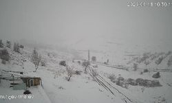 Malatya’da aç kurt sürüsü yerleşim yerine indi