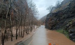 Munzur Nehri taştı: Yol ulaşıma kapatıldı