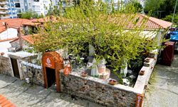 Narista Hayat 17 Nisan’da kapılarını açıyor