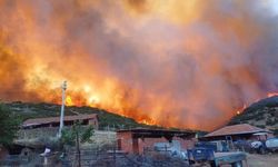 Orman yangınlarına karşı tedbir: Anız yakmak tamamen yasaklandı!