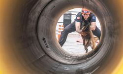 Pako'nun terk edilmiş canıydı, şimdi hayat kurtaracak