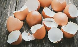 Sakın çöpe atmayın! Makineye bir avuç atınca çamaşırlar fabrika çıkışına dönüyor