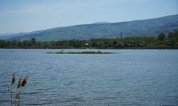 Sapanca Gölü’nde sular çekildi, gizemli ada ortaya çıktı