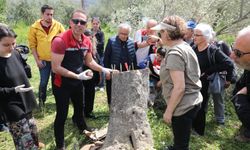 Seferihisar’da zeytin üreticilerine uygulamalı eğitim