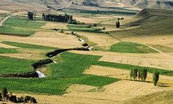 Tarım arazilerine yapılaşmada fren: Yeni düzenleme yürürlükte