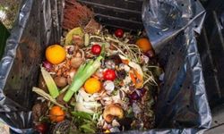 Türkiye’de gıda israfı alarm veriyor: Yıllık bedeli 200 milyar lira!