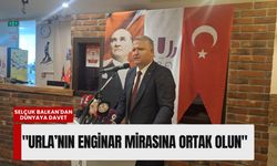 Urla’da 'miras' tadında festival: 10. Uluslararası Enginar Şenliği başlıyor!