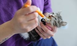 Buca Belediyesi’nden yaşam mesaisi