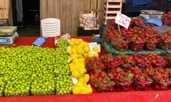 Yaz meyveleri tezgahta: Çilek, erik ve karpuz kaç TL?