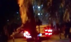 Sahibinin elinden kaçtı, dereye atladı…