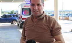 Acemi kasaplar hastanelik oldu: Kurban yerine kendini kesti