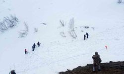 Artvin'de çığ altında kalan çoban için arama çalışması yeniden başlatıldı