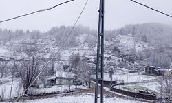 Baharda kar yağışı Sakarya’yı etkiledi
