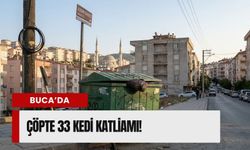 Buca'da vicdan dışı olay:33 dondurulmuş kedi bulundu