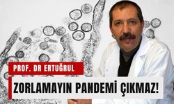 Zorlamayın! Hantavirüs'ten pandemi çıkmaz!