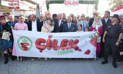 Çilek tadında festival, milyonu aşkın misafir ağırladı