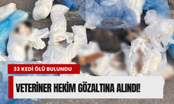 Çöpte 33 ölü kedi bulunmuştu: İzmir'deki kan donduran olayda yeni gelişme!
