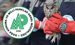 Doğa Koruma ve Milli Parklar 92 personel alacak! İşte kadrolar