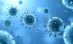 Hantavirüs alarmı: Bir kabin memuru karantinaya alındı
