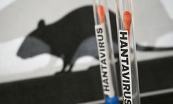 Hantavirüs krizi sürüyor... DSÖ'den açıklama! Vaka sayısı arttı