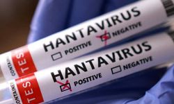 Hantavirüs yeni bir pandemi mi? COVID-19 gibi bir pandemiye dönüşür mü?