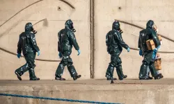 Hantavirüs bir ülkede daha görüldü! Yolculardan biri pozitif çıktı