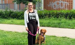 Köpek sahiplerine sigorta şartı!