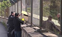 Maltepe'de ormanda erkek cansız bedeni bulundu