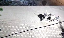 Manisa’da bıçaklı kavga: Üniversiteli genç 6 yerinden yaralandı