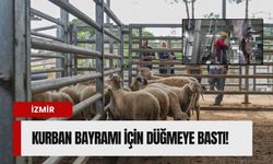 İzmir dokuz ilçede Kurban Bayramı’na hazır