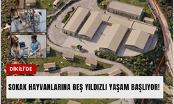 Dikili’de patili dostlara 24 bin metrekarelik yeni yuva!