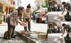 Sokaktaki canları unutmayın: Bayram artıkları sokak hayvanlarına nasıl verilmeli?