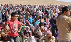 Türkiye'de bulunan Suriyeli sayısı açıklandı