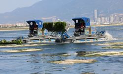 İzmir Büyükşehir’den Körfez’de temizlik mesaisi