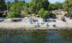 İzmir’de parklarda örnek dayanışma