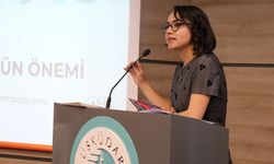 Yaz tatilinin yeni sokağı artık evde: Çocuklar sokaktan ekrana mı taşındı?