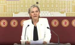 Nimet Özdemir, CHP'den istifa etti