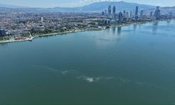 İzmir Körfezi’nde neler oluyor? 14. kez aynı şey yaşandı!