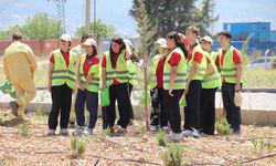 Toprakla gelen şifa: Kemalpaşa’da yaşam köyü açıldı!