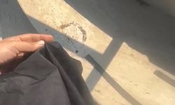 Tesettürlü kadına havuz yasağı: Görevli gözaltına alındı!
