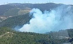 Soma'da korkutan orman yangını!