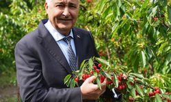 Kemalpaşa’da festival coşkusu sürüyor