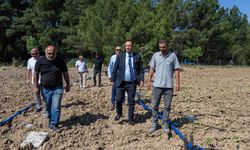 Bornova’da atıl araziler üretime kazandırılıyor