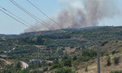Çeşme'de kabus: Makilik alanda yangın!