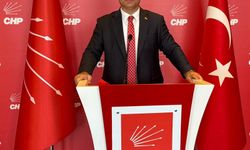 CHP’li Dayanç’tan mesaj: ‘CHP son kaledir!’