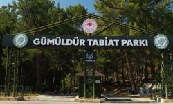 Gümüldür Tabiat Parkı yeniden ziyarete açıldı