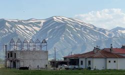 Haziranda gören dönüp bir daha bakıyor: Dağlar zebra desenine büründü